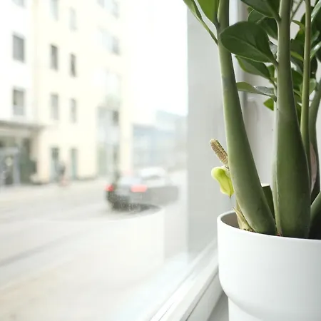 Zur Alten Konditorei Apartment